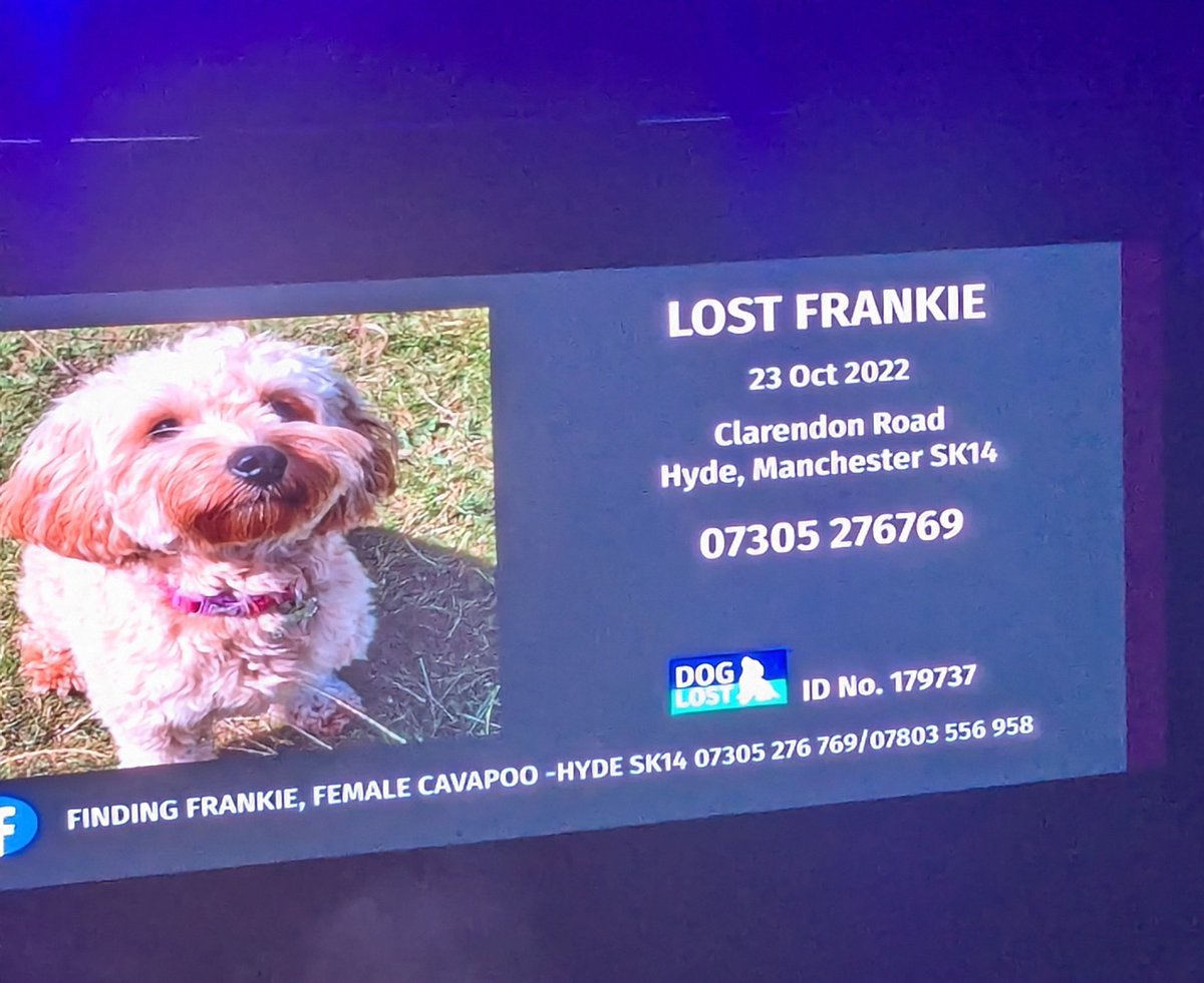 Lilypad aka The Padster, Pad, Paddle tweet media