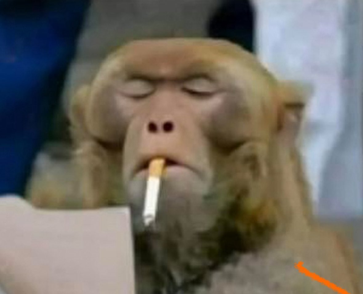 ai reviewing my ai generated code