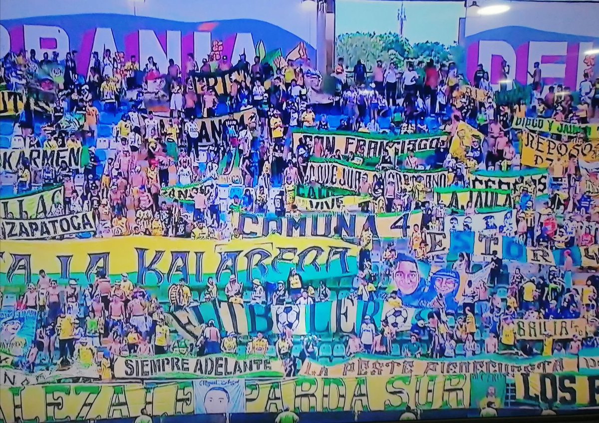 =E=L=D=1=E=G=0= tweet media