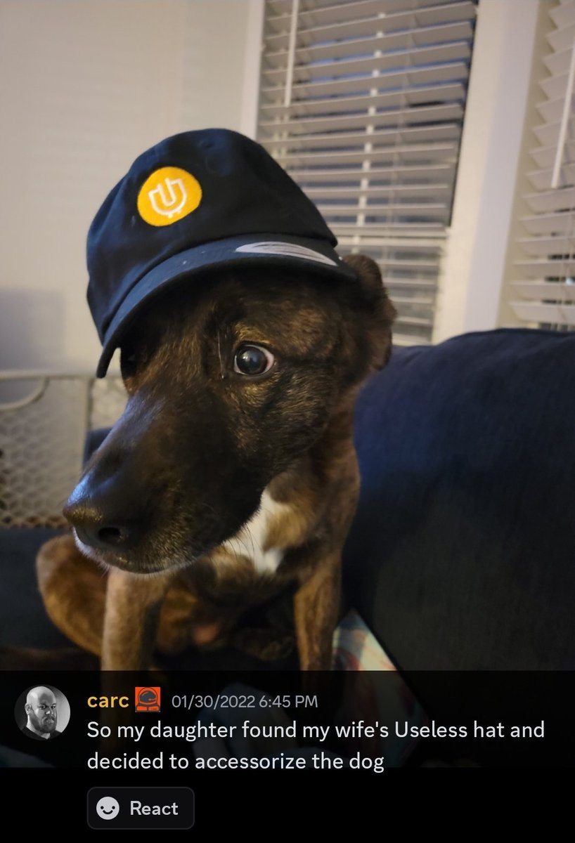 CryptoCarc's tweet image. Yep, that's us. We're not going anywhere.