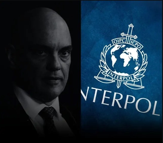 Alex Moretti tweet media