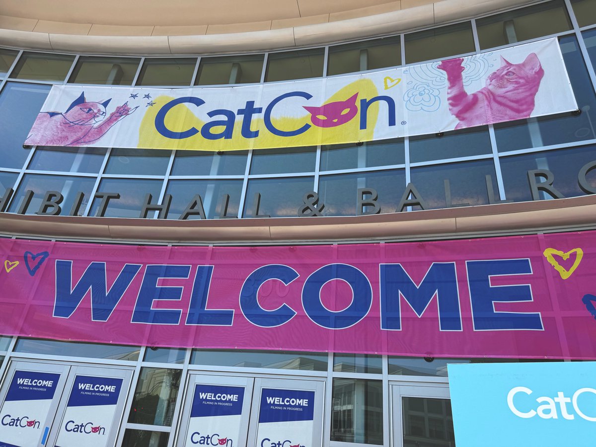 Derrick Gordon tweet media