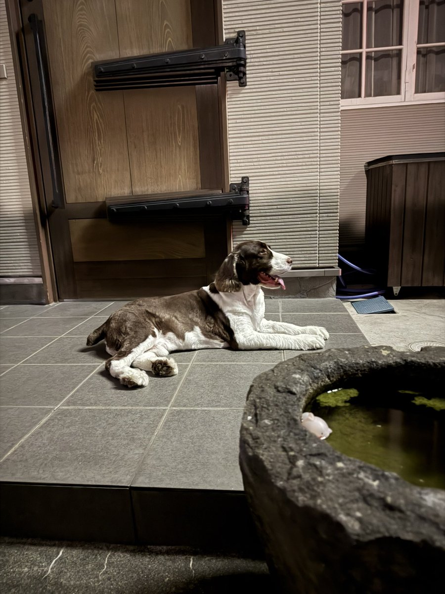 清水健博 tweet media