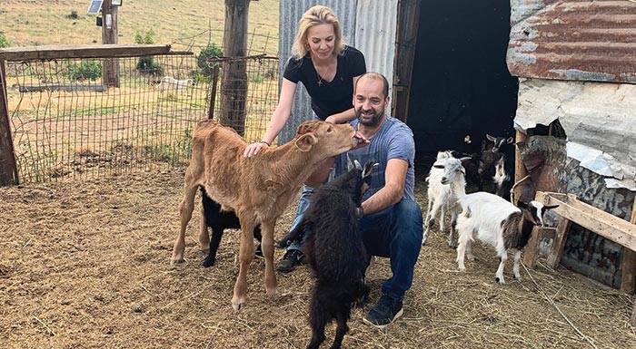 Ιγώ απ' τη ζουή πουλλά κατάλαβα
Κι σ' ούλα τα τιρτίπια είμι μέσα
Κι αν ίμπλιξα μι πρόβατα κι γάλατα
Ας όψιτ' η ζουή η παλιουμπαμπέσα