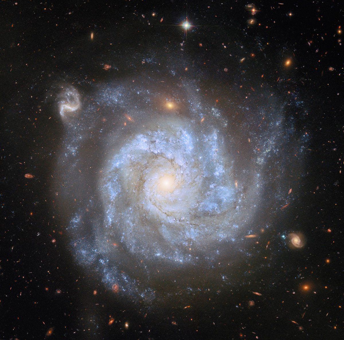 NASA's tweet image. Set your sights high today. No, higher than that. Even higher.
This spiral galaxy, studied by our orbiting @NASAHubble telescope, is 100 million light-years away from planet Earth. Here's what astronomers are learning from it: go.nasa.gov/451Rrwt