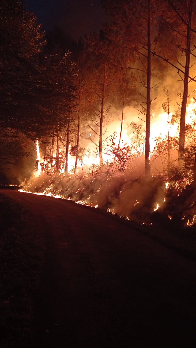 AT_Brif's tweet image. 21:54 | 🔥 #IFVillayón #Asturias

Contrafuego del flanco derecho ejecutado por @BrifTineo con apoyo de @BomberosAstur y #AMN

📸⬇️