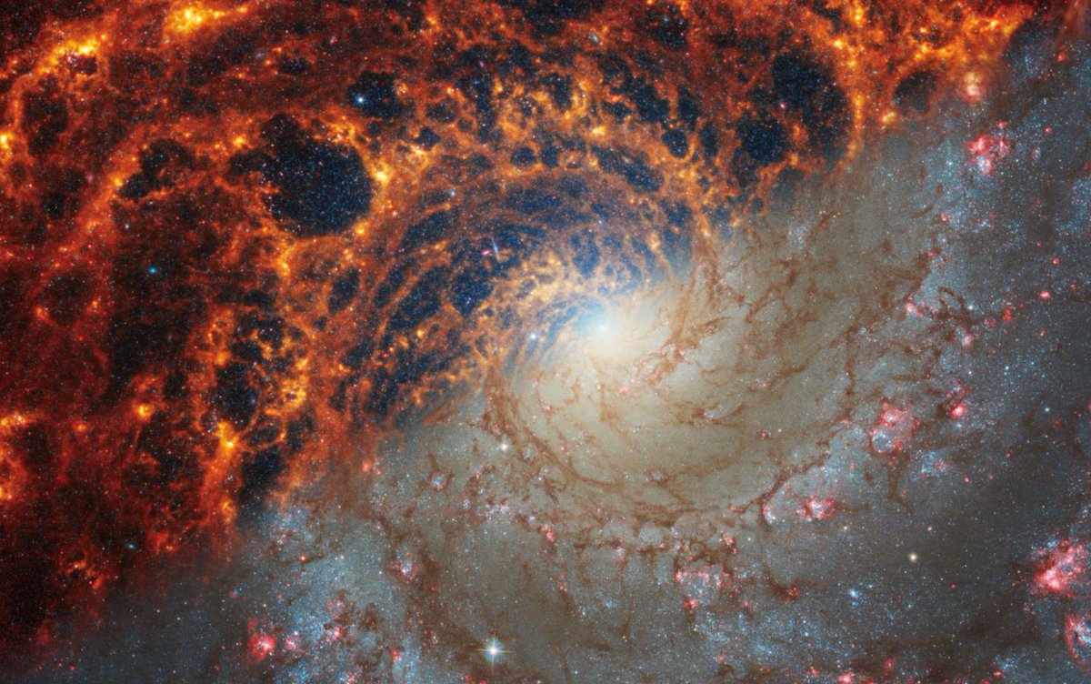 NASAScience_'s tweet image. What happens when you see a galaxy in a new light?
You get a stunning split-view like this.

#NASAScience Image of the Month: NGC 628, seen through @NASAWebb&apos;s infrared eyes and @NASAHubble’s visible-light view. One galaxy. Two ways to observe. 

Explore: go.nasa.gov/4msLwXc