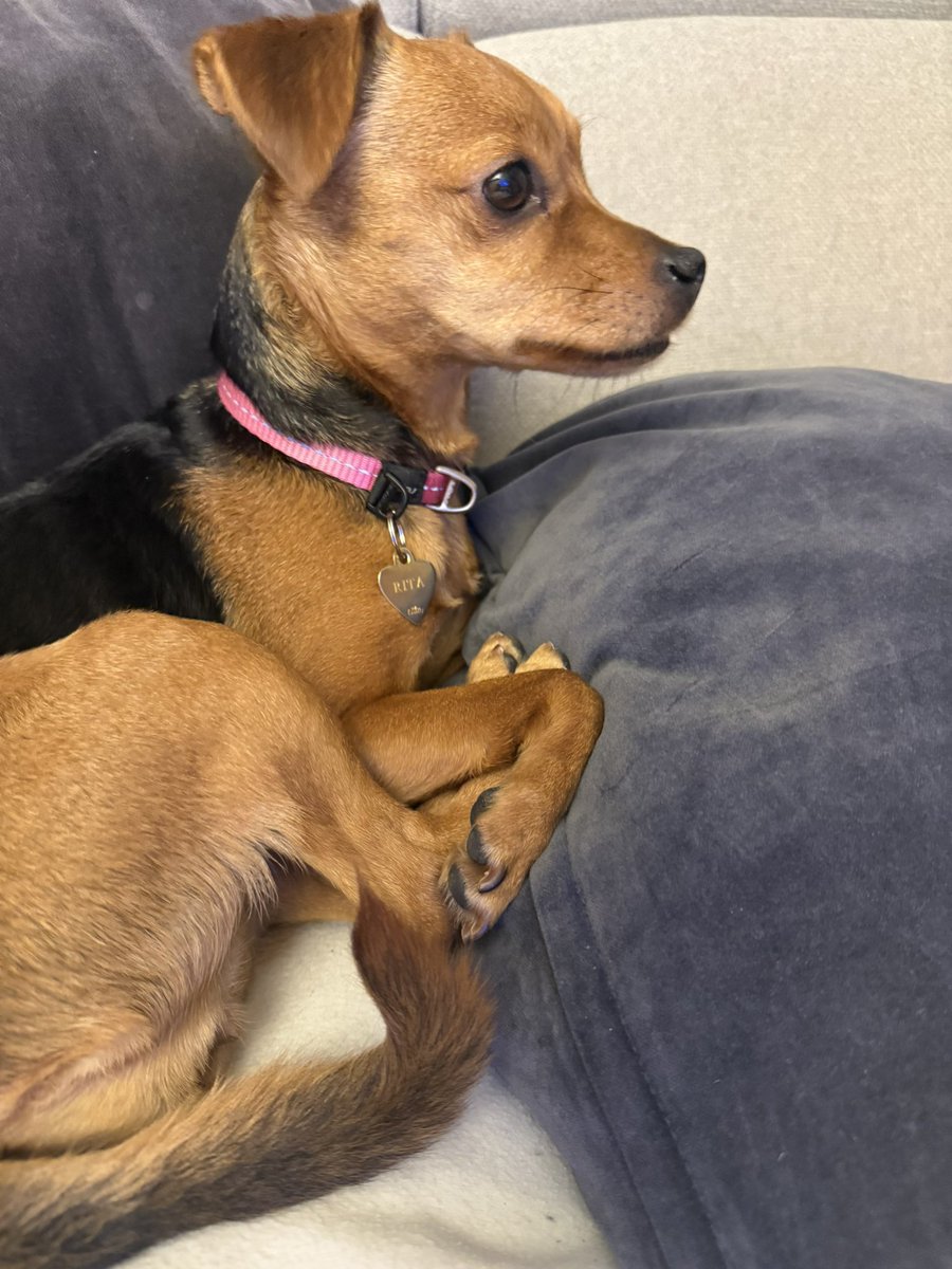 𝕴𝖓𝖌𝖗𝖎𝖉 🧜🏼‍♀️ tweet media