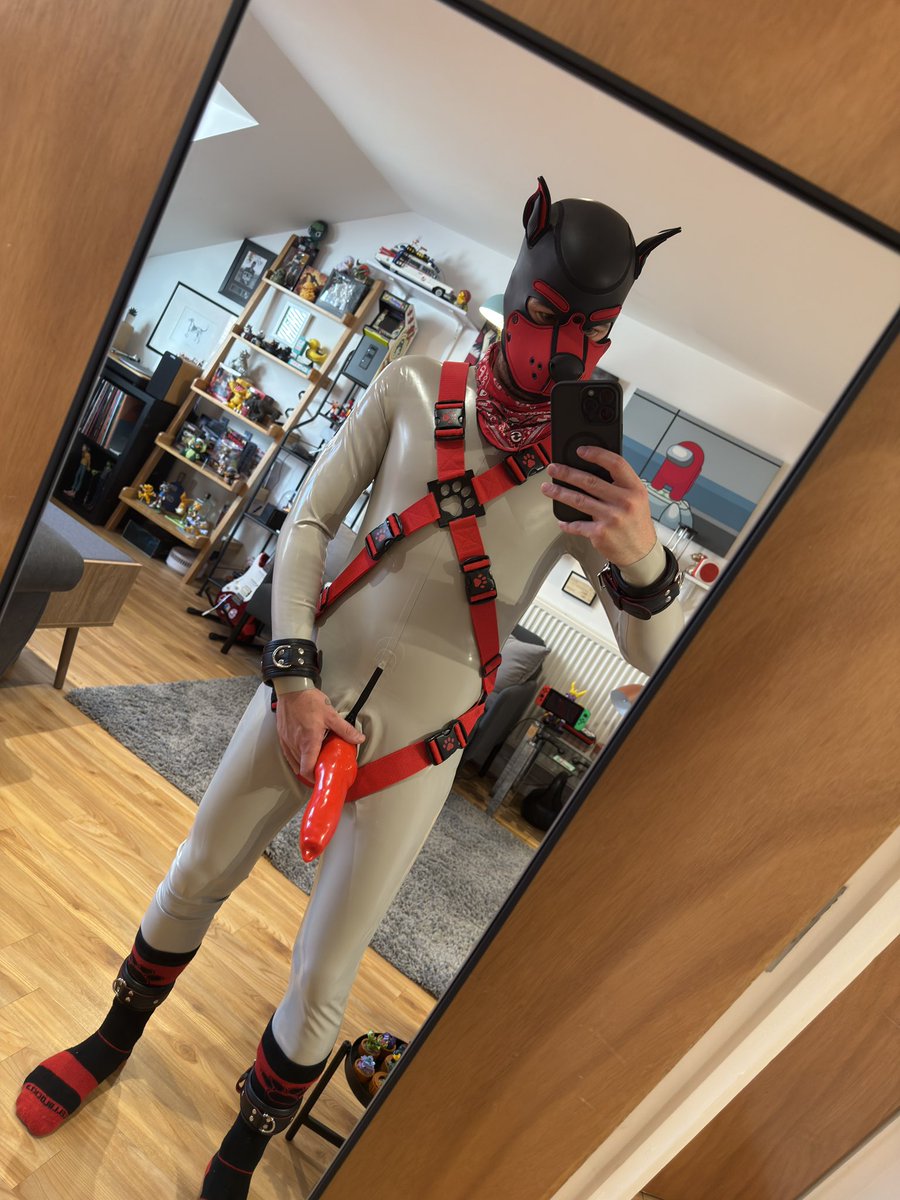 pupgremlin tweet media