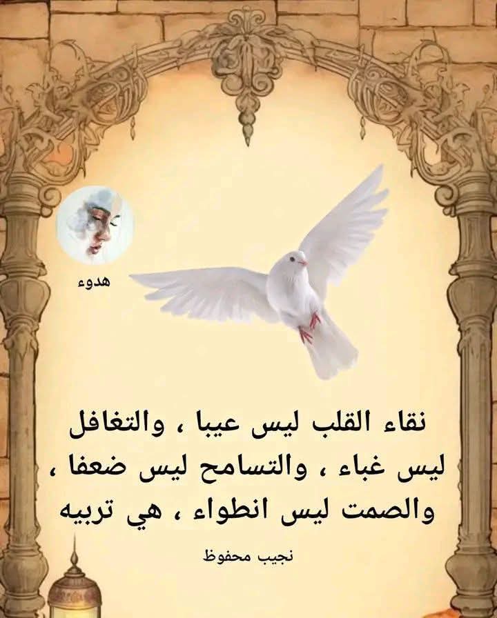 Eng_Aref Alshamary (@alshamarynadum) on Twitter photo 