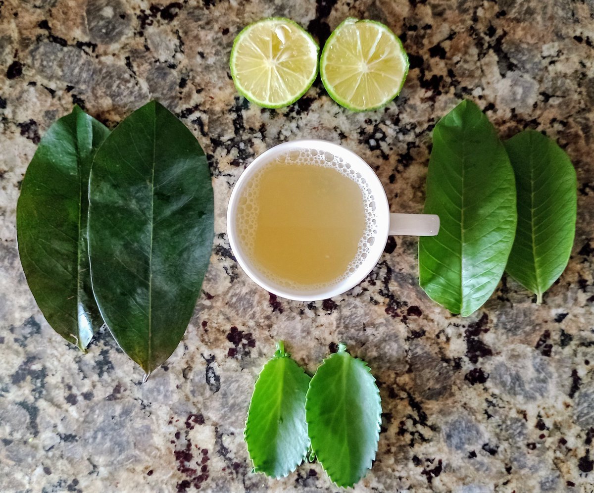 Té medicinal milagroso para ayudar a sanar cualquier tipo de cáncer, fortalecer el sistema inmunológico, regular la presión arterial y los niveles de glucosa en la sangre.

Te enseño a prepararlo a continuación. 🧵