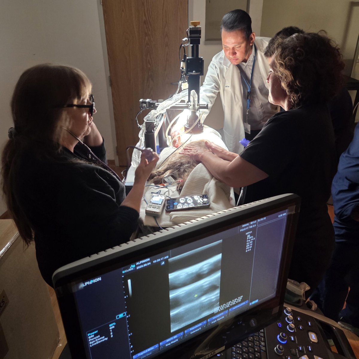 UTSW_VROC's tweet image. Today we conducted a simulation on our patient, Ginger, for HIFU therapy! HIFU (High-Intensity Focused Ultrasound) is a non-invasive image-guided therapy technique that uses focused sound waves to destroy targeted tissue—commonly used for tumors, as well as other conditions.