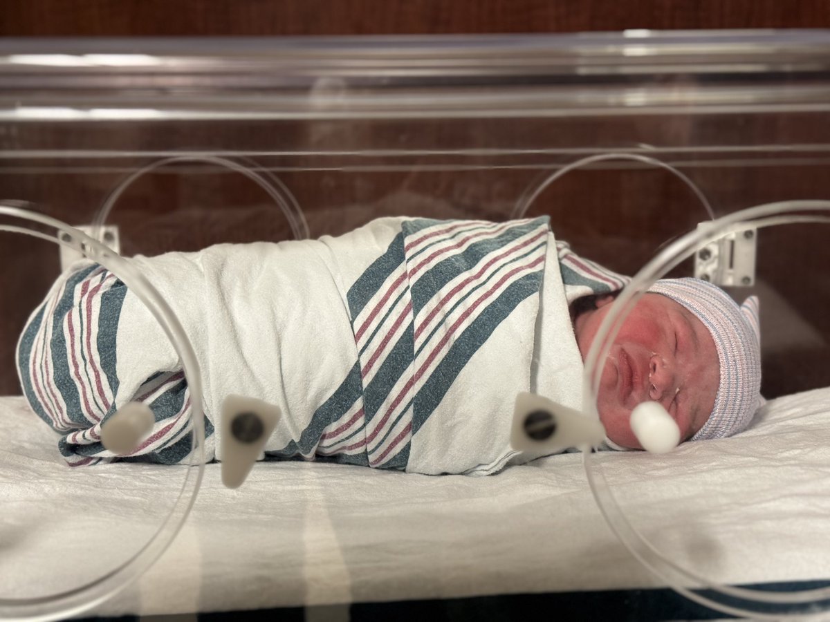 Florida Politics (@fla_pol) on Twitter photo .@WalletHub ranks Florida as eighth-worst state to give birth to a child
Reporting by <a href="/DrewDixon30/">Drew Dixon</a>
flapol.com/4fmxUKJ
#FlaPol .@WalletHub ranks Florida as eighth-worst state to give birth to a child
Reporting by <a href="/DrewDixon30/">Drew Dixon</a>
flapol.com/4fmxUKJ
#FlaPol