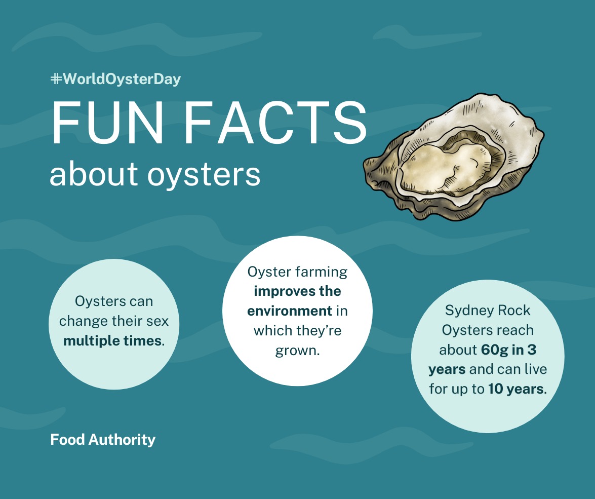 🦪 Time to shell-ebrate #WorldOysterDay! #NSW produces more than 70 million oysters each year across 32 estuaries. These mighty molluscs provide shelter and food for other species and improve water quality. Plus, they’re low calorie and high in protein. Pearlers all round!