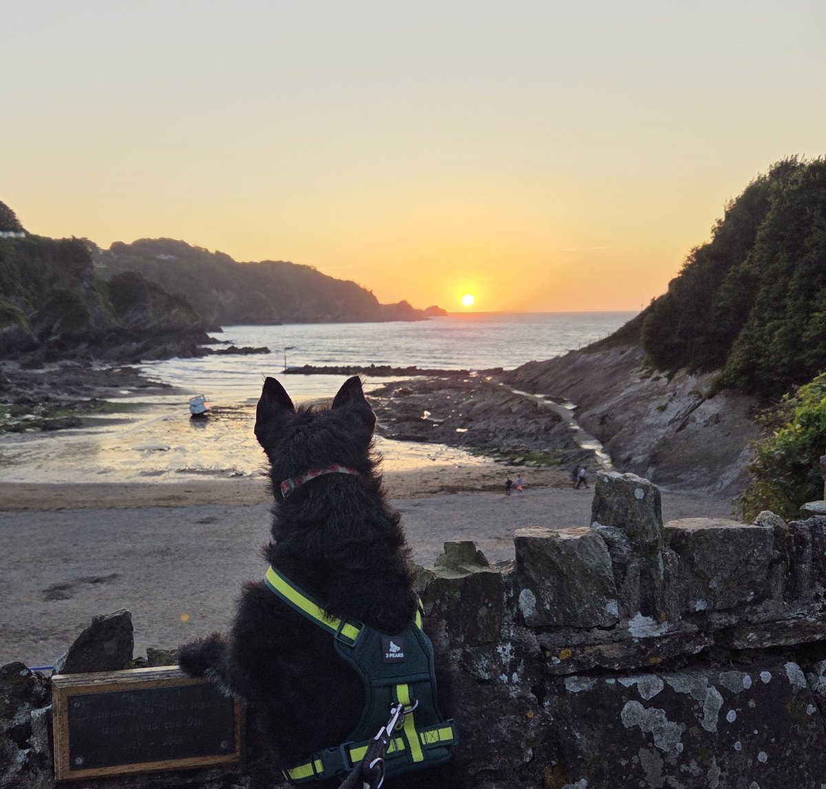 Karen_Hunter's tweet photo. Very picturesque Combe Martin https://t.co/u2S2HuHqO3