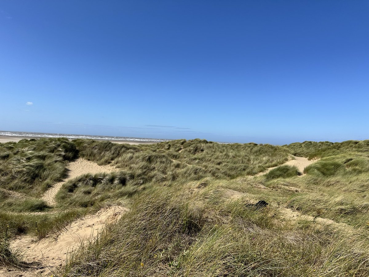 Day 4 #ActiveAugust25 #NursesActive
Bit blowy so stayed in land from the 🌊