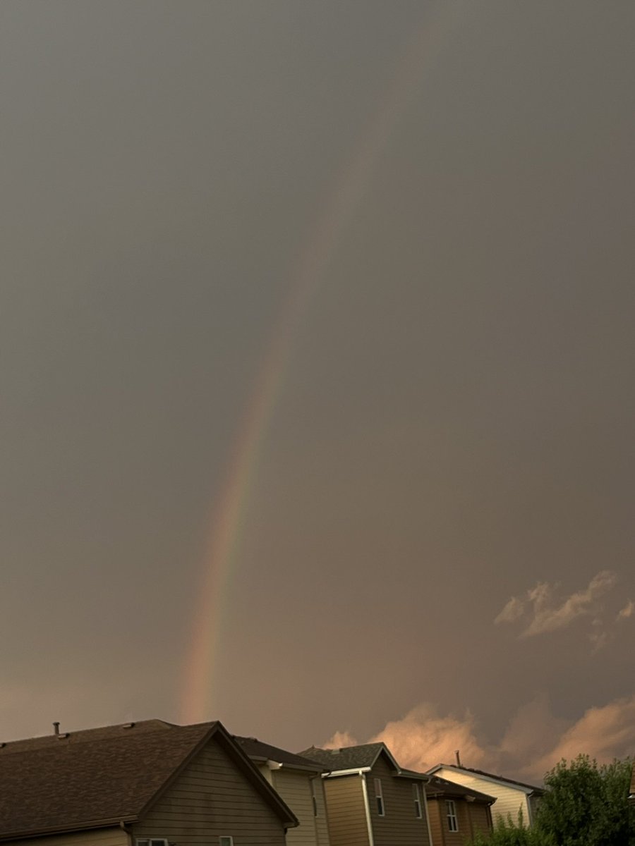 avoidmoosey's tweet image. avoidmoosey update for twitter