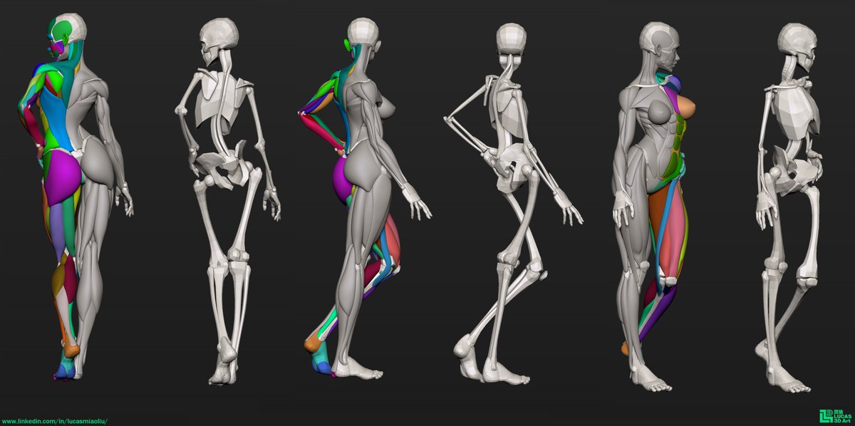 Stylized female anatomy study I sculpted — hope it’s useful or inspiring for fellow character artists!