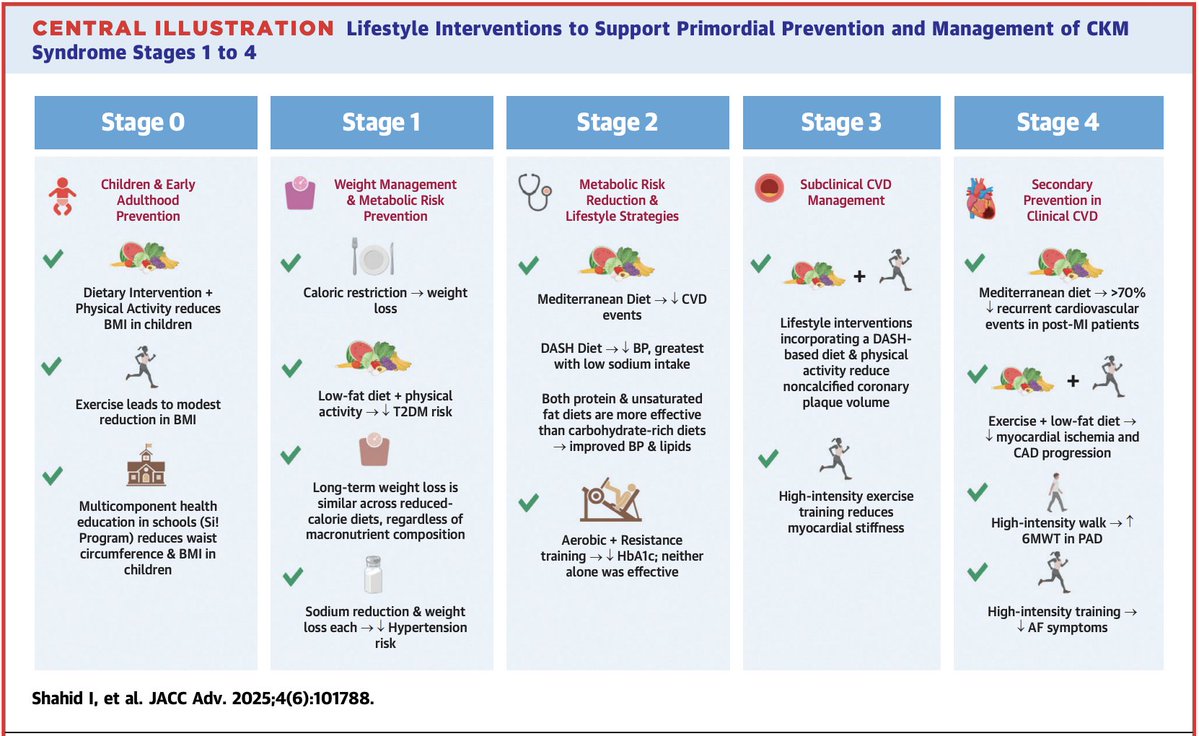 INTERVENCIONES EN ESTILO DE VIDA EN PREVENCIÓN Y MANEJO DEL SÍNDROME CARDIO-RENO-METABÓLICO

Vía <a href="/JACCJournals/">JACC Journals</a> 
jacc.org/doi/10.1016/j.…