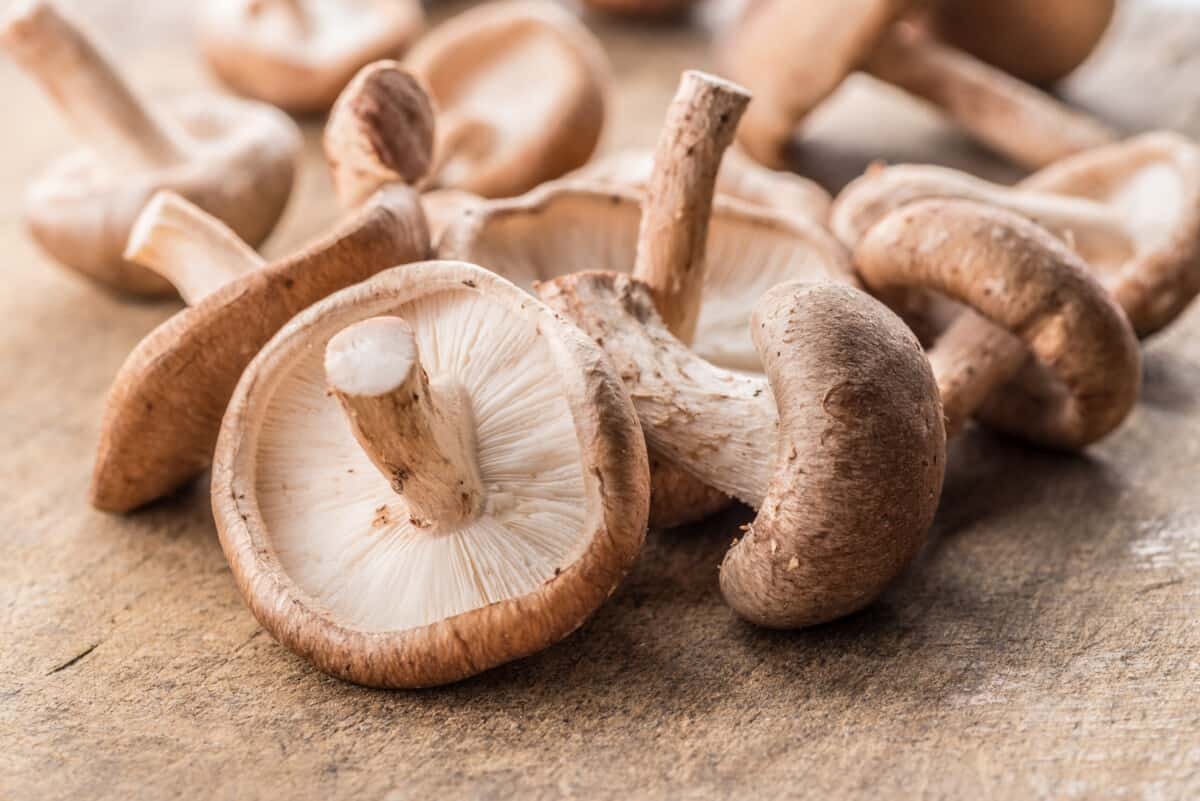 Esther560135081's tweet image. Earth to God&apos;s Remnant Worldwide! Get these Shitake Mushrooms in your body! (Thank me later)

They are sources of naturally occurring formaldehyde which work like metal chelators. #microbots #nanotech #nopharmakeia