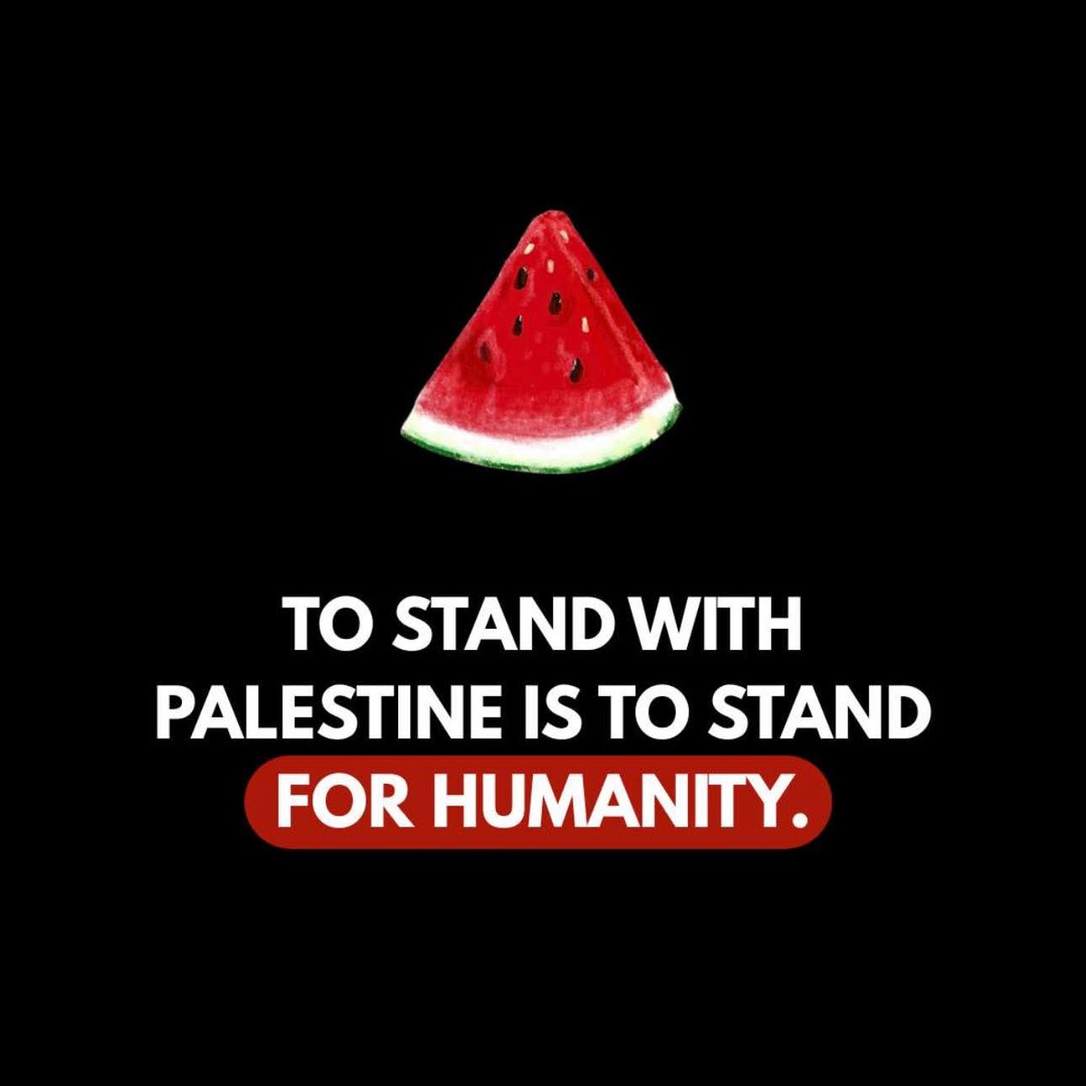 locutoratere (@locutoratere) on Twitter photo 