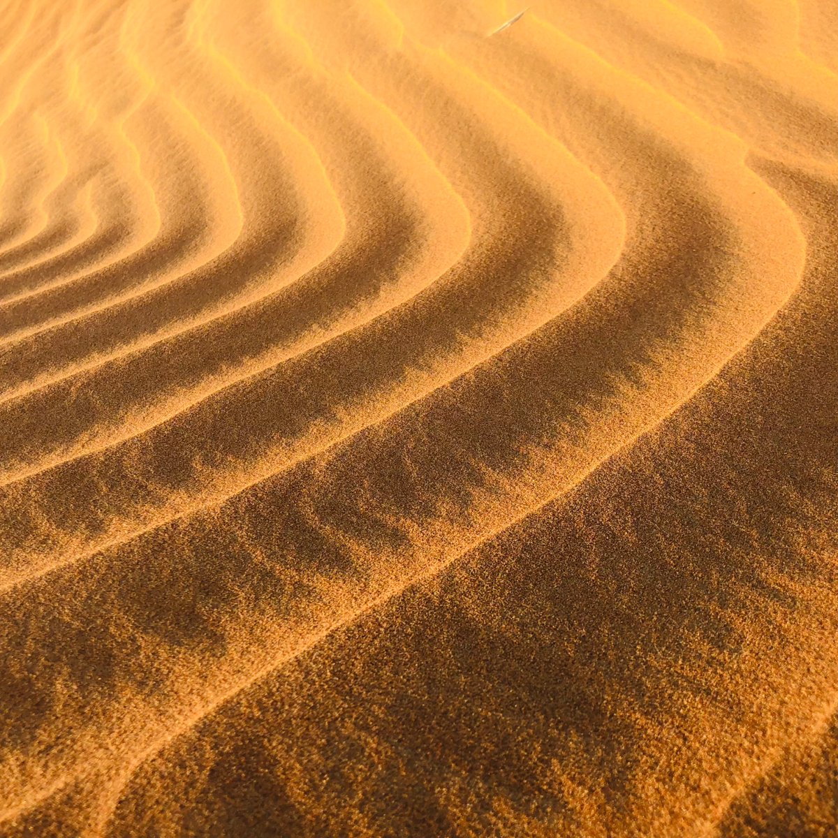 تموجات رملية من مدينة العين.
تصوير: IPhone X