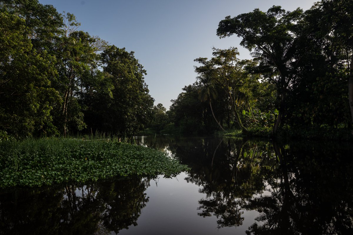 📍Parque Nacional Turuepano – Sucre, Venezuela

Algo que no muchos saben sobre Turuepano es cómo funciona el tema de las mareas. Este parque está formado por una red de canales y manglares donde se mezcla el agua dulce de los ríos con el agua salada del mar Caribe. 

 Abro Hilo