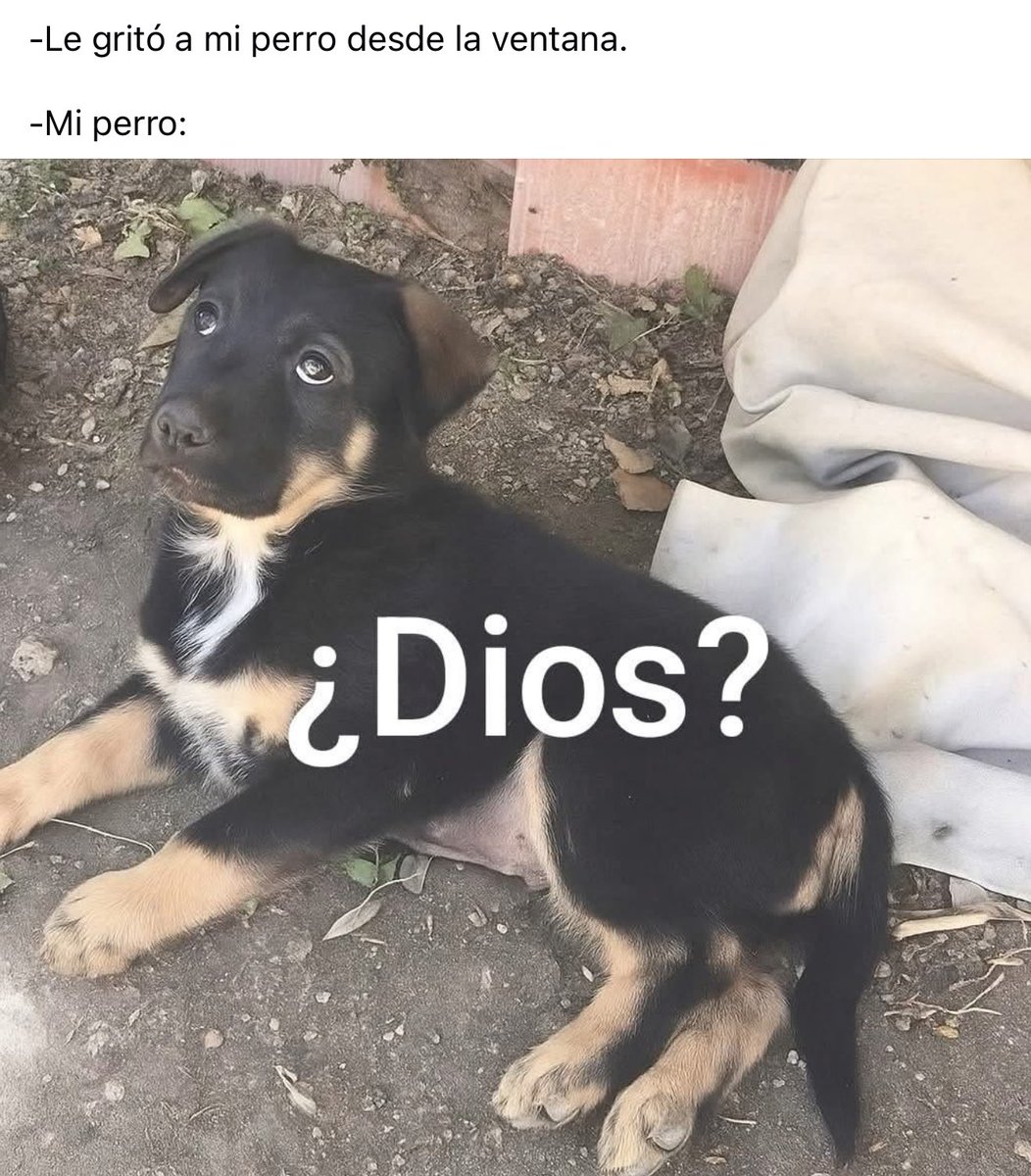 atr ahre 🐶 (@atr_ahre) on Twitter photo 