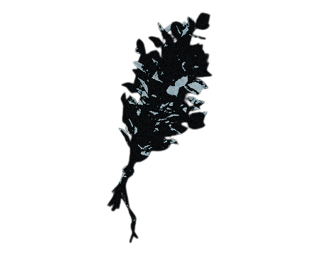 𝐫𝐞𝐝𝐟𝐢𝐞𝐥𝐝, 𝐜. tweet media