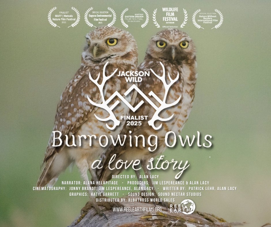 Reel Earth Films tweet media