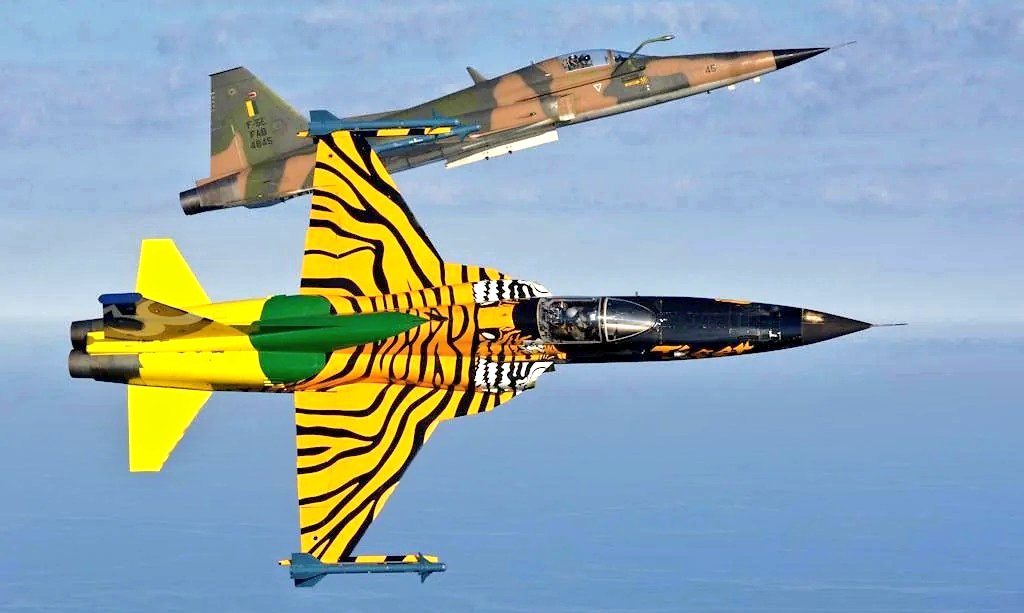 Tiger, Tiger! A Brazilian AF F-5E showing its true tiger colours. Brazil received its first F-5 in 1975. With continuous updates, the old F-5 remains relevant and will continue to serve FAB until it is fully replaced by Saab Gripens by 2029.