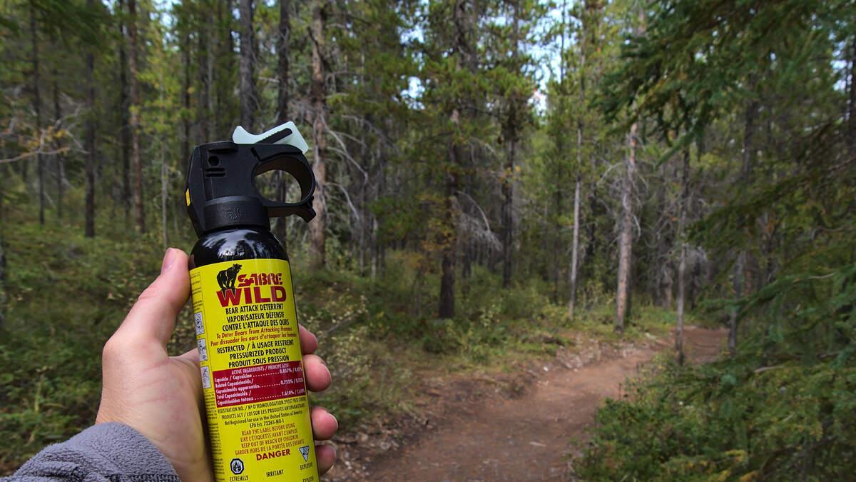 Masked Man Unleashes Bear Spray Inside New York City Subway Train | 94.9 The Bull 949thebull.iheart.com/content/2025-0…