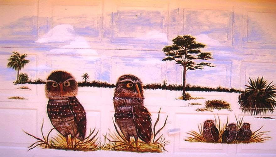 Happy International Owl Awareness Day! #internationalowlawarenessday #owlawarenessday