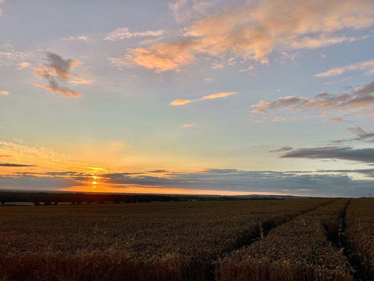 Yorkshire Wolds Weather tweet media