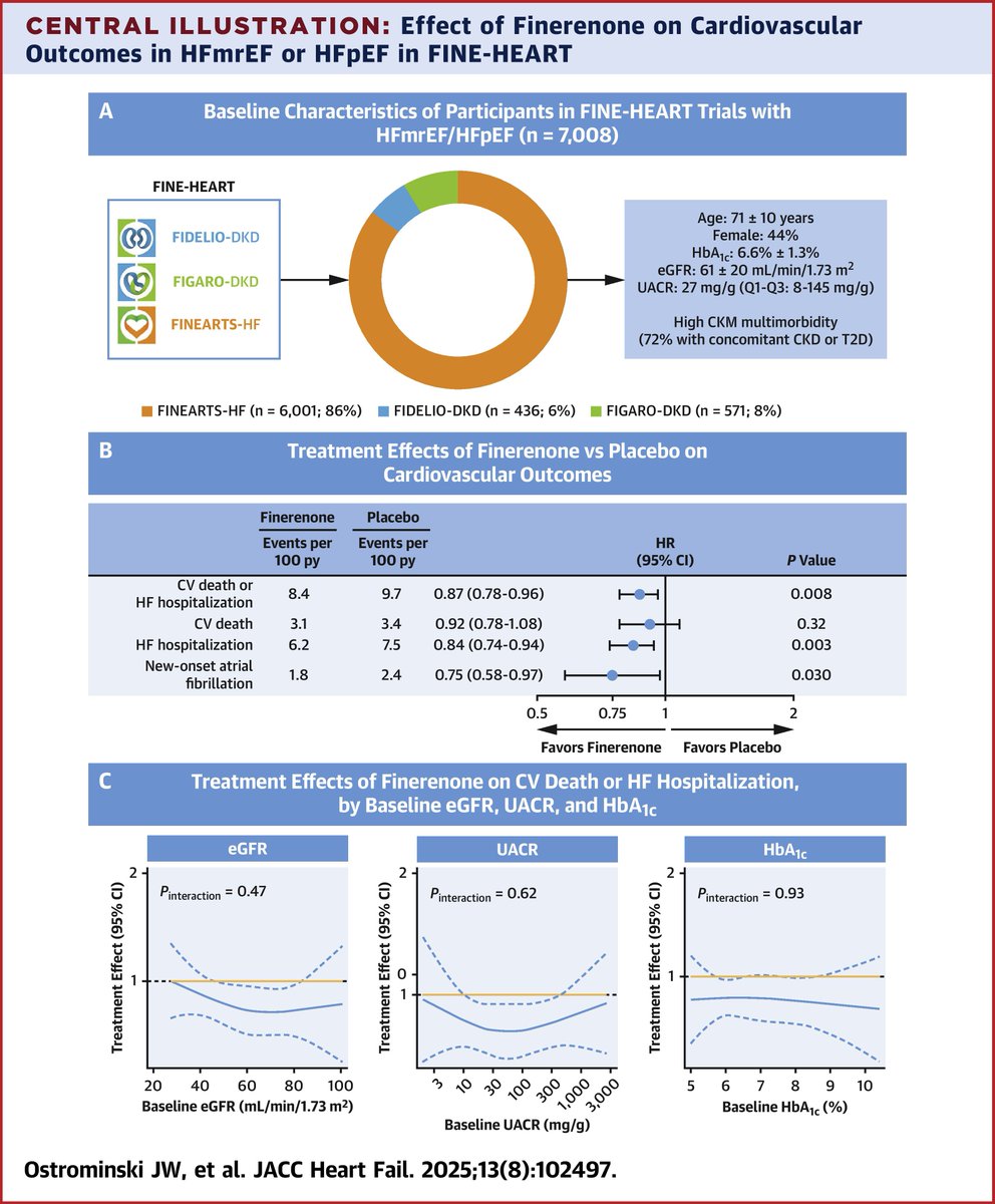 In this pooled analysis of FINEARTS-HF, FIDELIO-DKD, and FIGARO-DKD, finerenone improved CV outcomes in &gt;7,000 individuals with #HFmrEF/#HFpEF, supporting its use in HFmrEF/HFpEF across a broad range of #CKM risk jacc.org/doi/10.1016/j.…

<a href="/Filippatos/">Gerasimos Filippatos</a> <a href="/mvaduganathan/">Muthu Vaduganathan</a> #GDMT #JACCHF