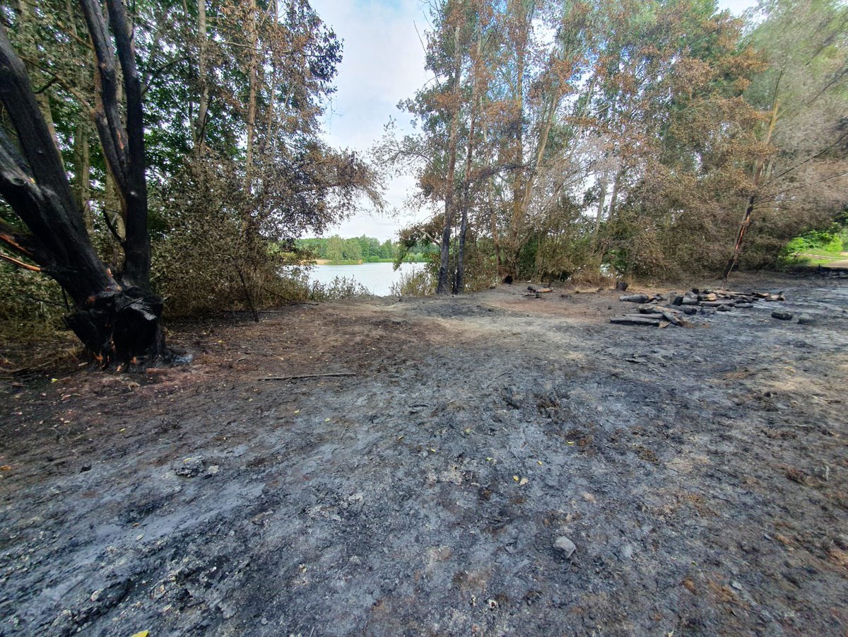Following an arson attack on our new site Clophill Lakes at the weekend we now have to raise over £100K to reinstate 69m boardwalk completely destroyed. Please help if you can! 

greensandtrust.org/Appeal/clophil…