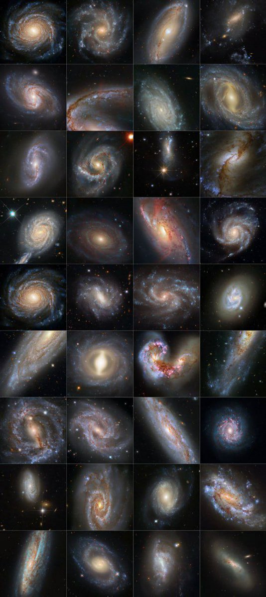 Black Hole tweet media