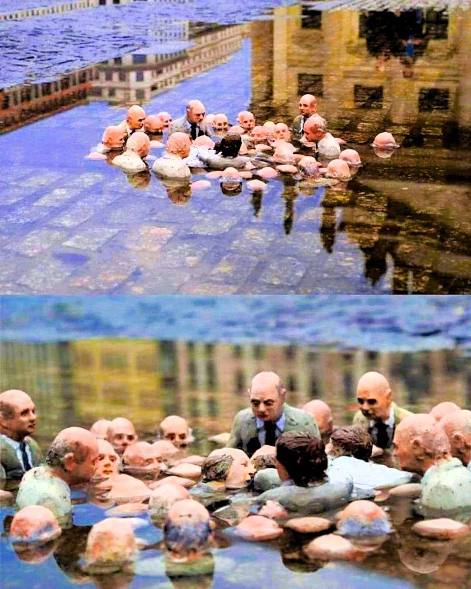 ScienceArtHub tweet media