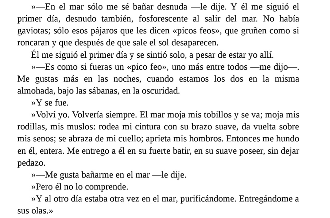 Leer Pedro Páramo hace no querer leer nada más en la vida, por miedo a no leer nunca nada mejor.