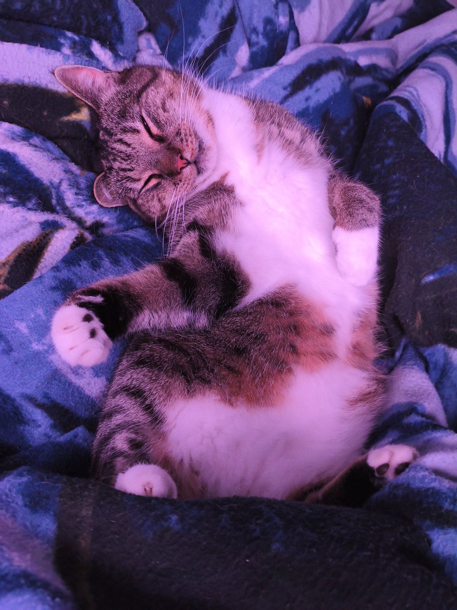 Dustfire1981's tweet image. Gute Nacht Ihr Lieben da draußen