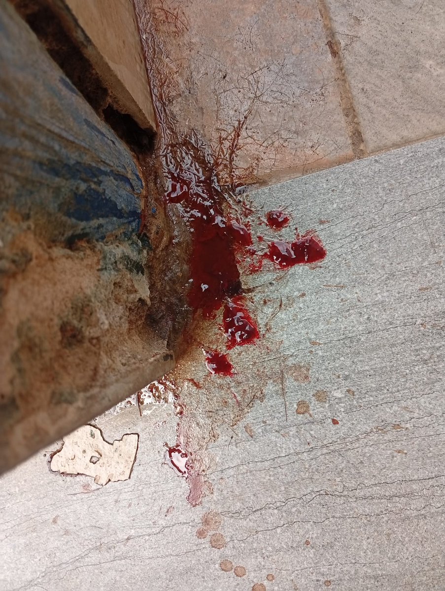 Gunter Kook tweet media