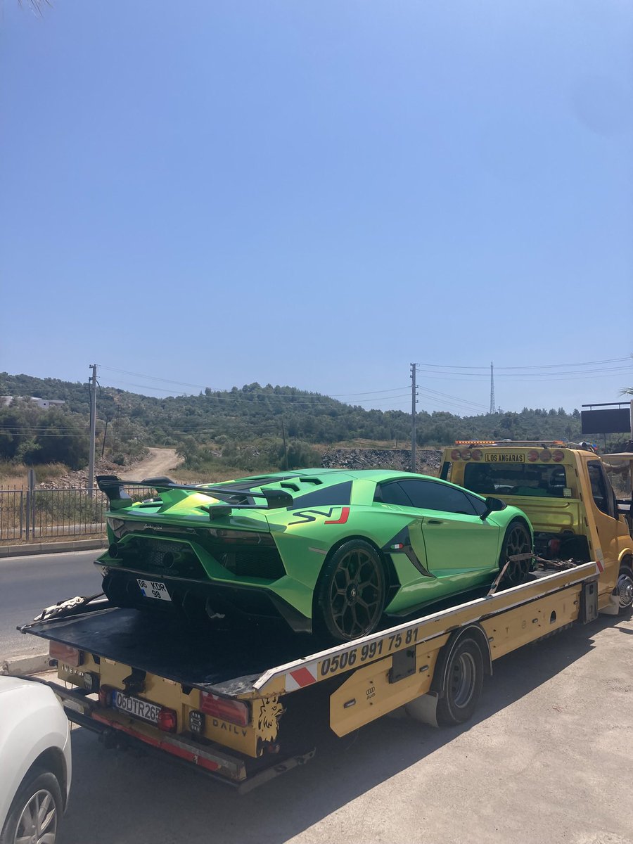 bugün karşılaştık severmisiniz kendisini 😁