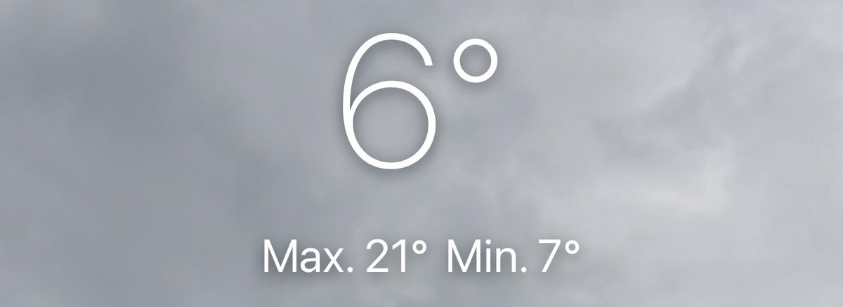 FearlessWolfess's tweet image. Murky and foggy right now 😵‍💫