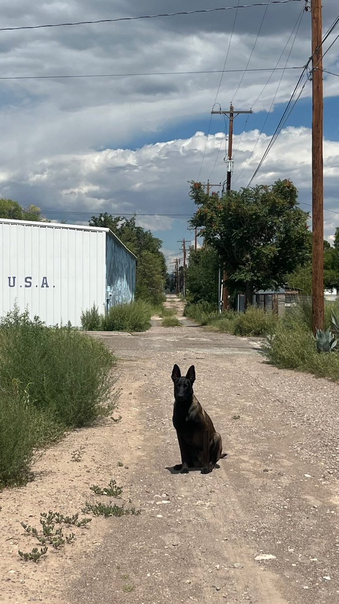 Dallas (@dallyy___) on Twitter photo 