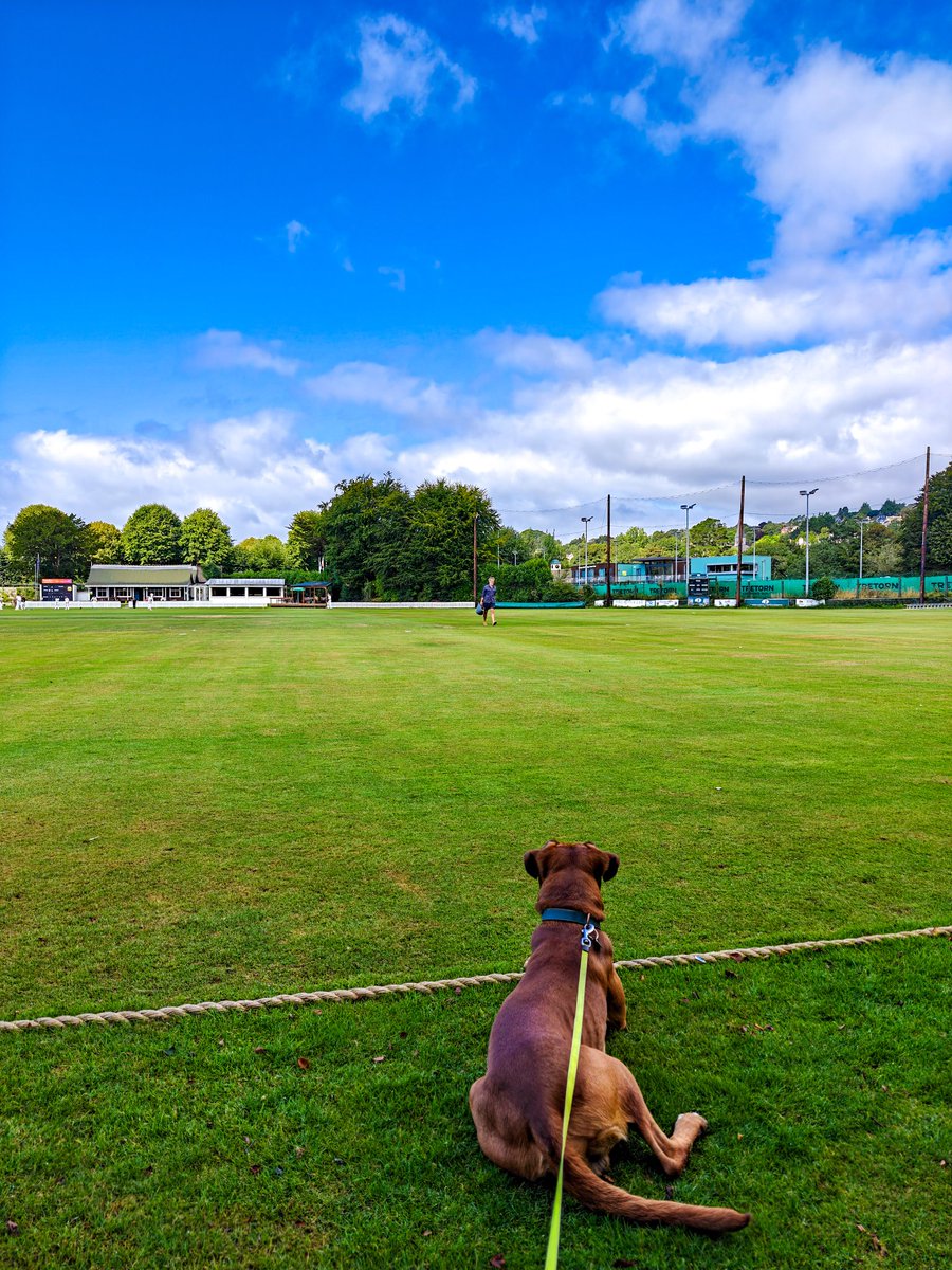 Cork County CC ๐ (@cork_countycc) on Twitter photo RESULT | ๐ฃ๐ฟ๐ฒ๐บ๐ถ๐ฒ๐ฟ ๐๐ถ๐๐ถ๐๐ถ๐ผ๐ป
Cork County 181-5 (Andrianatos 76*, Gautam 37, O'Sullivan 23*)
<a href="/Co_GalwayCC/">Co. Galway CC 1971</a> 180 all out (Swaroop 38, Undre 3-29, Carey 3-41)
Cork County 1st XI won by 5 wickets at the Mardyke. ๐ฌ๐ฆ #WeAreCounty RESULT | ๐ฃ๐ฟ๐ฒ๐บ๐ถ๐ฒ๐ฟ ๐๐ถ๐๐ถ๐๐ถ๐ผ๐ป
Cork County 181-5 (Andrianatos 76*, Gautam 37, O'Sullivan 23*)
<a href="/Co_GalwayCC/">Co. Galway CC 1971</a> 180 all out (Swaroop 38, Undre 3-29, Carey 3-41)
Cork County 1st XI won by 5 wickets at the Mardyke. ๐ฌ๐ฆ #WeAreCounty