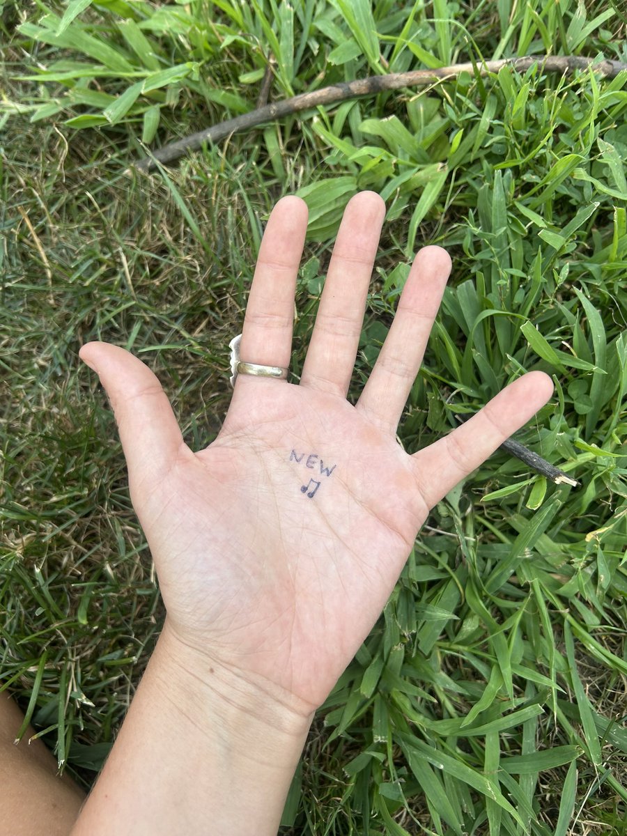 Brynn Cartelli tweet media