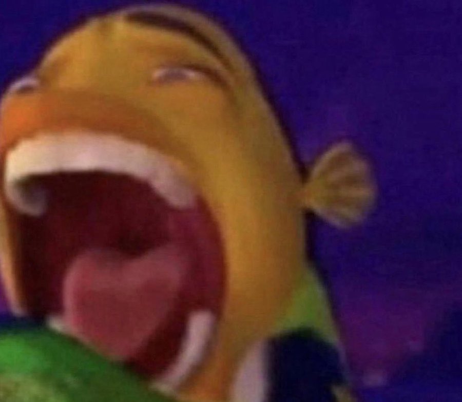 Me laughing at my own jokes