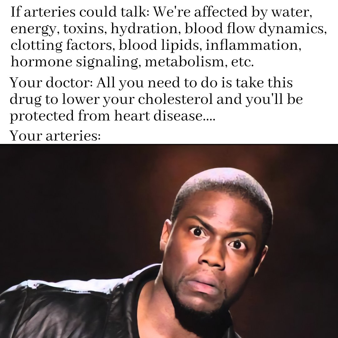 It makes no sense to try and "treat" a whole disease process by taking a medication that lowers one aspect of what's in blood. If we want to understand and prevent a disease, we have to look into all aspects of the environment that the disease happens in. This gives a more
