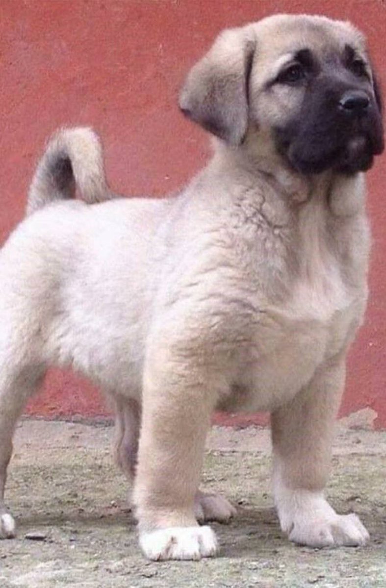 Dünya Sivaslılar Günü Kutlu Olsun!!!!