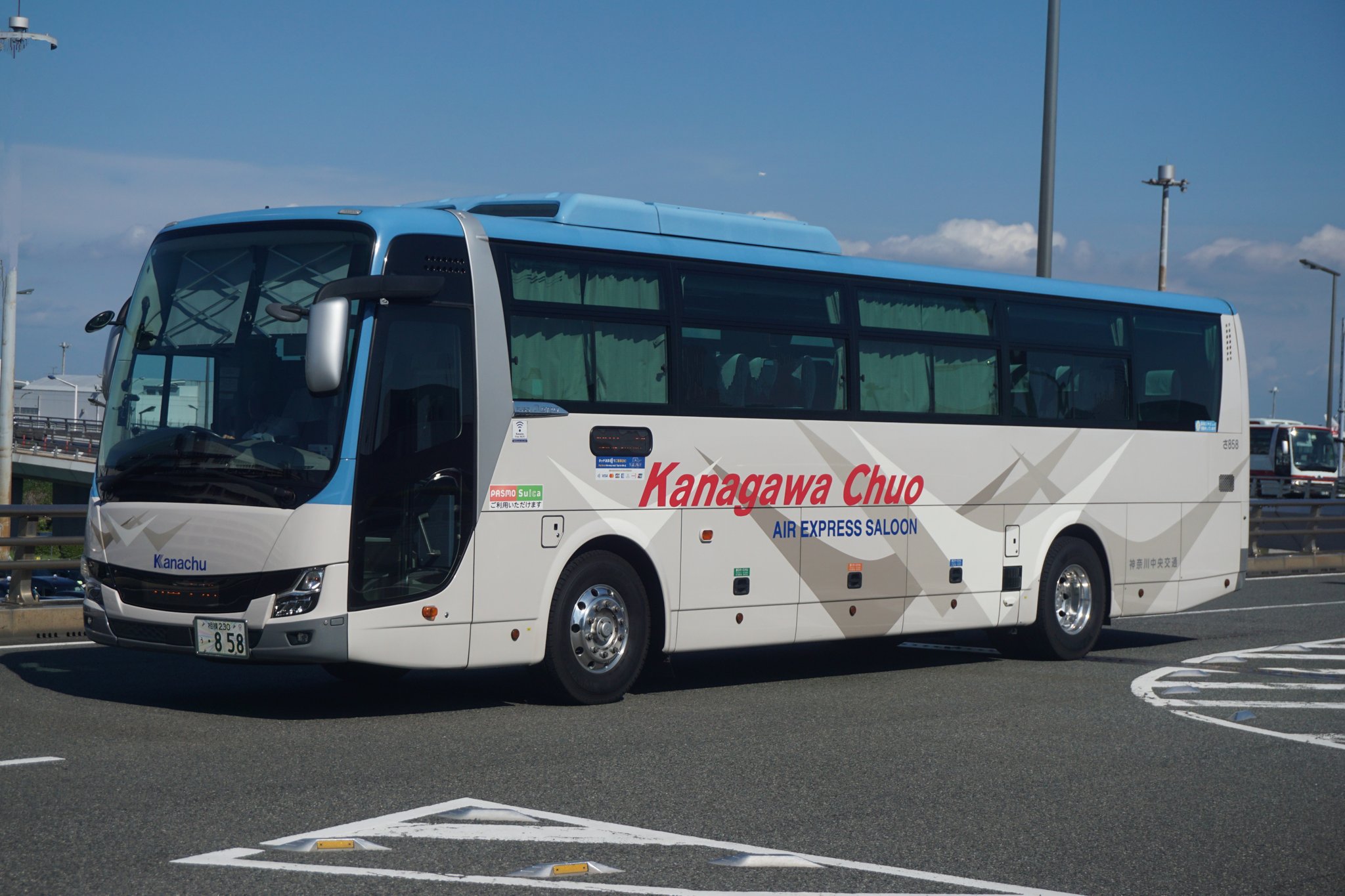 らびっちゃん　神奈川 ビームス ライフ 横浜（1035371） フォトログ｜BEAMS